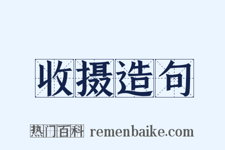 收摄造句是什么意思的图片